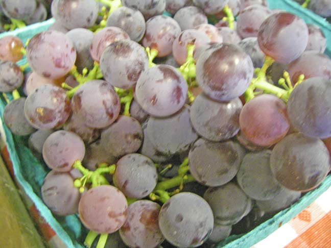 homegrown seedless grapes