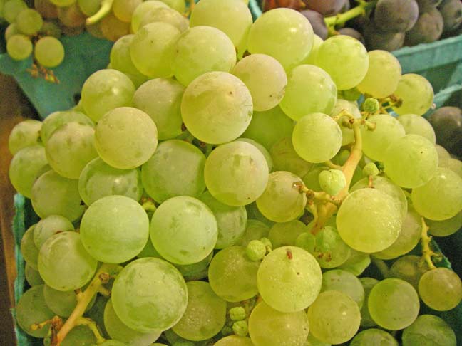 homegrown seedless grapes - white