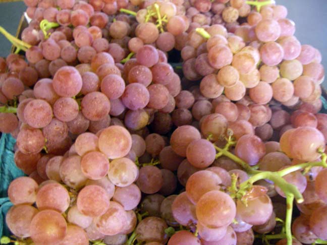 homegrown seedless grapes - red
