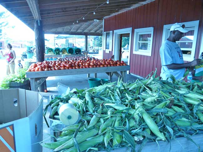 The farm stand