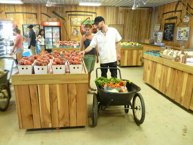 shopping the peaches