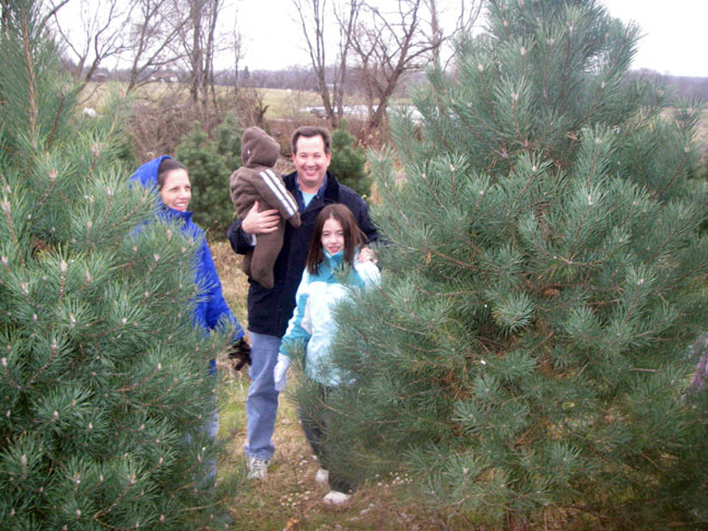 checking out trees