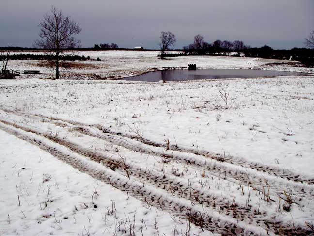 Snow