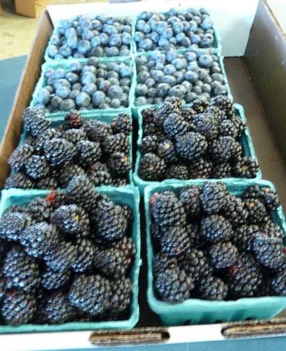 berries