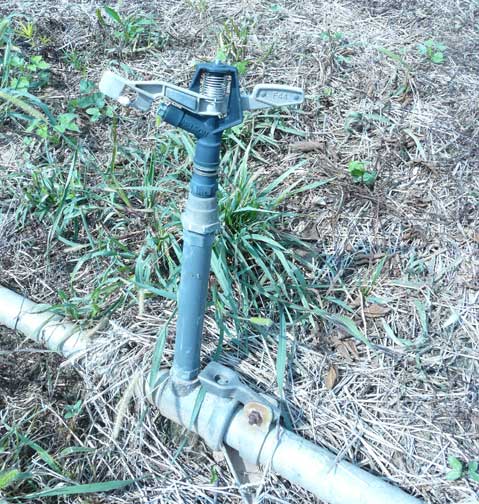 irrigation head