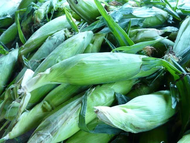 sweet corn