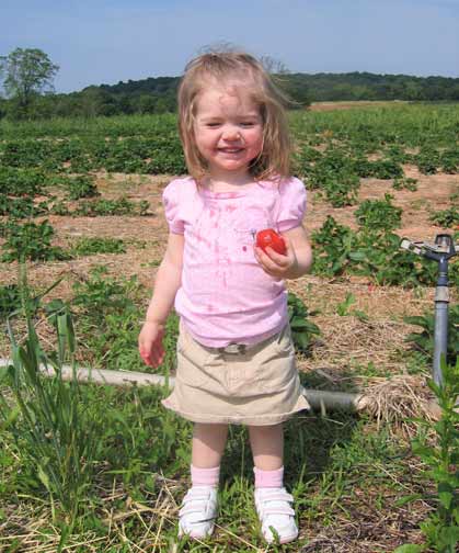 Sydney discovers the joys of berry picking!