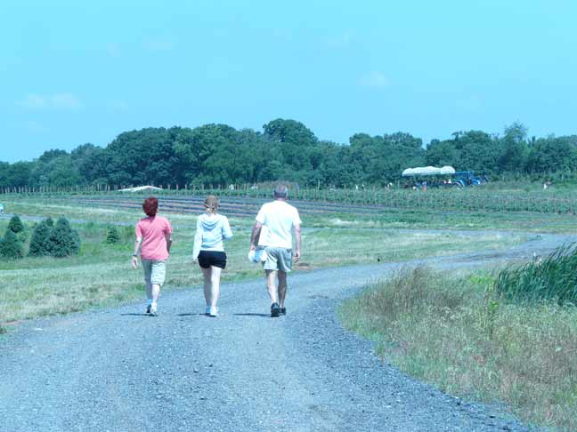 Walking to the berry patch