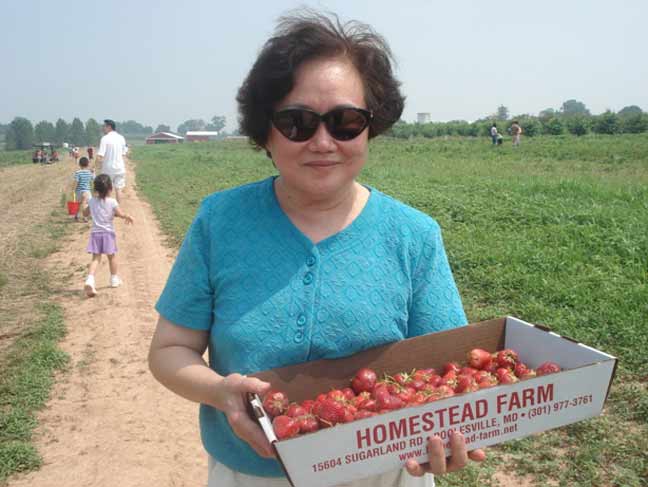 A strawberry box