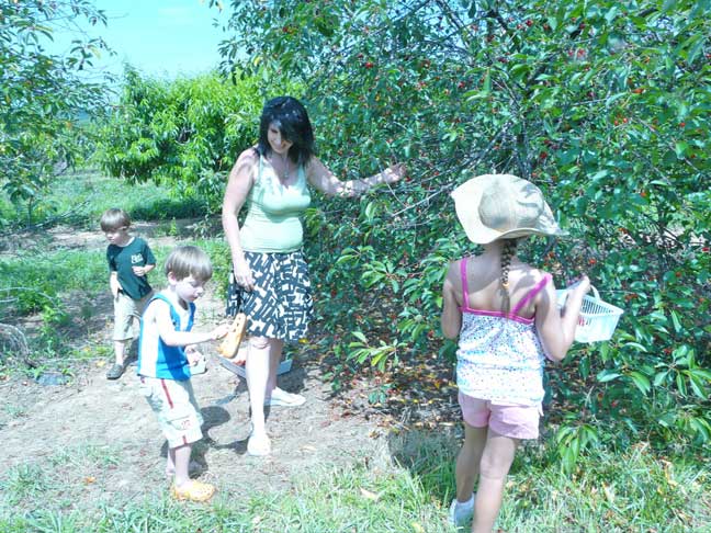 family cherry picking