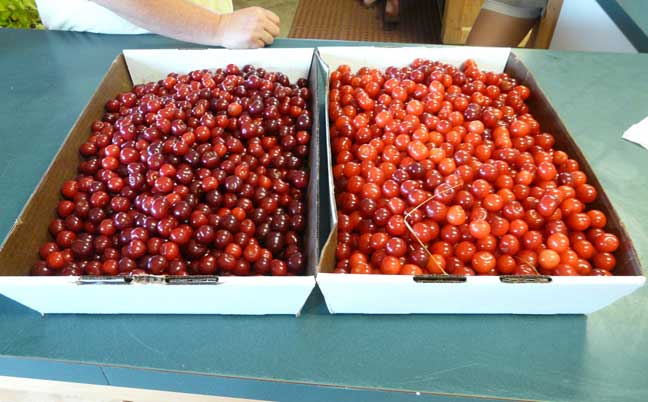 2 boxes of cherries