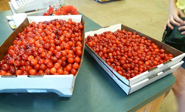 2 boxes of cherries