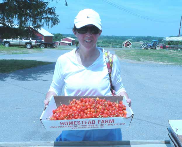 tart cherries