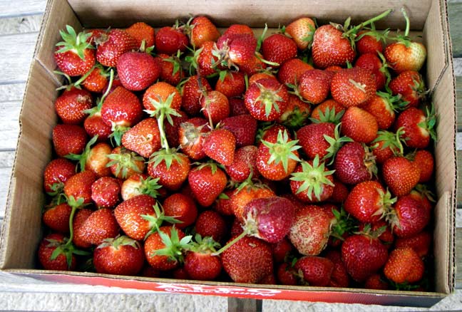 box of strawberries