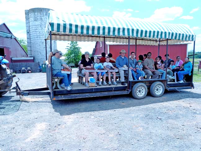 The strawberry field transport wagon