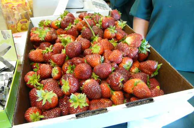 Nice box of berries