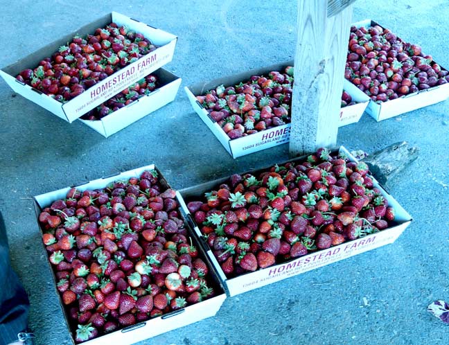 Berries!