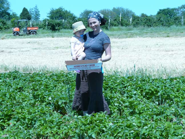 Picking in the field