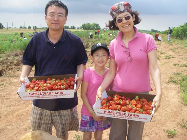 famliy of strawberry pickers