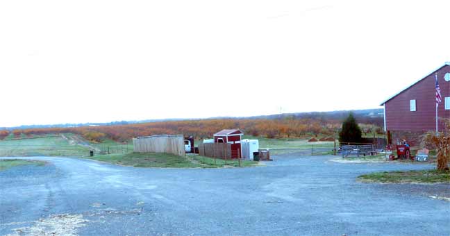 peach orchard