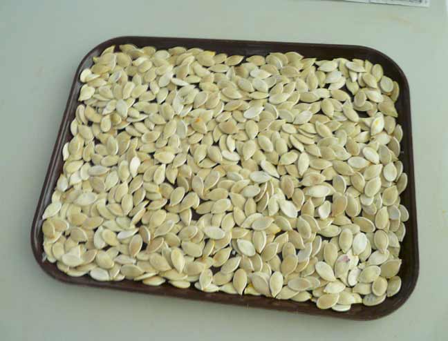 pumpkin seeds