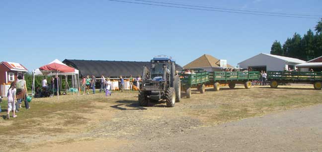 hayride leaving