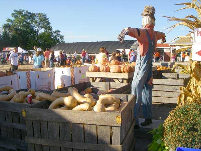 Crowd scarecrows