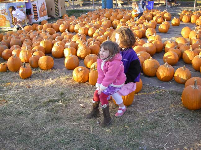 pumpkins