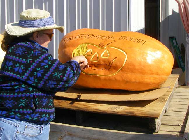 carve giant pumpkin
