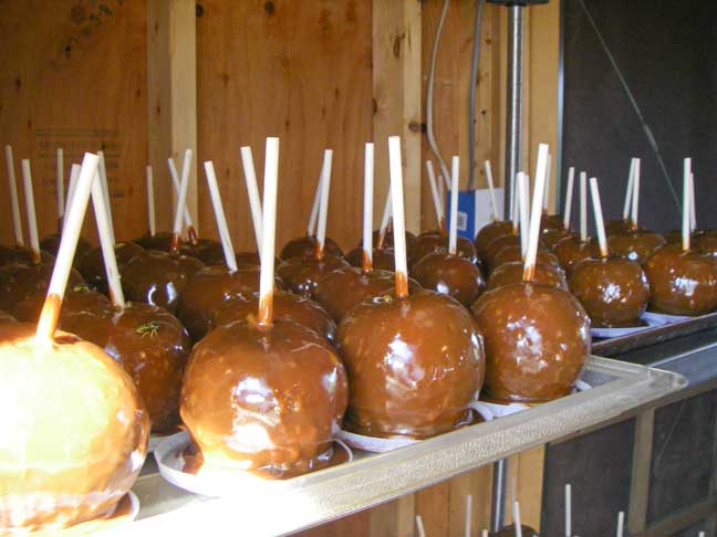 caramel apples