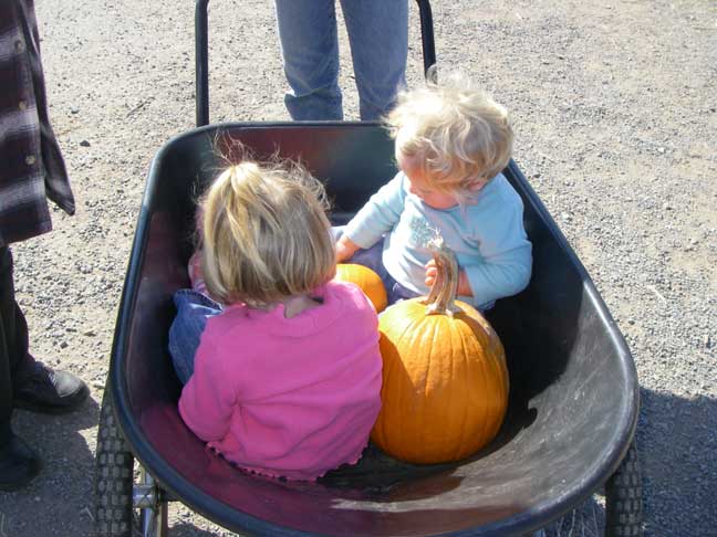 Wheelbarrow of cuties!