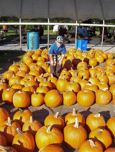 Walker with pumpkins