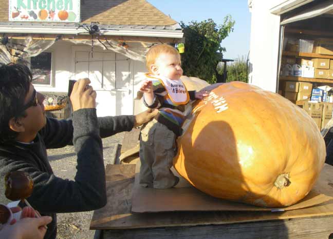 kid with big pumpkin