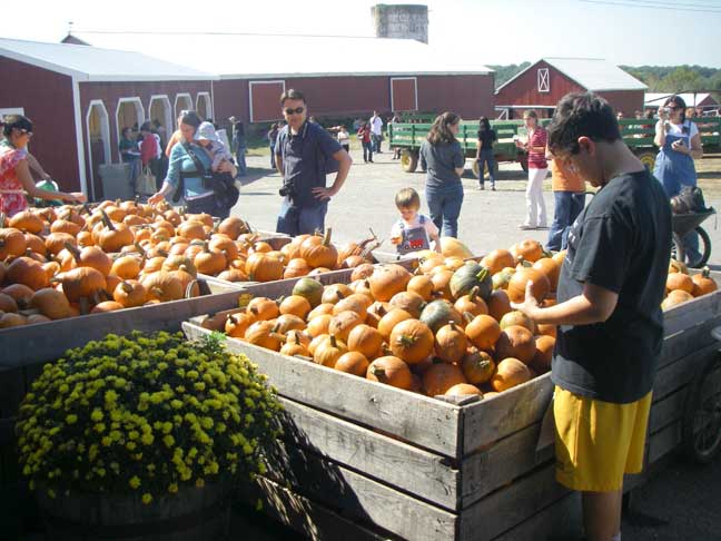 Pumpkins