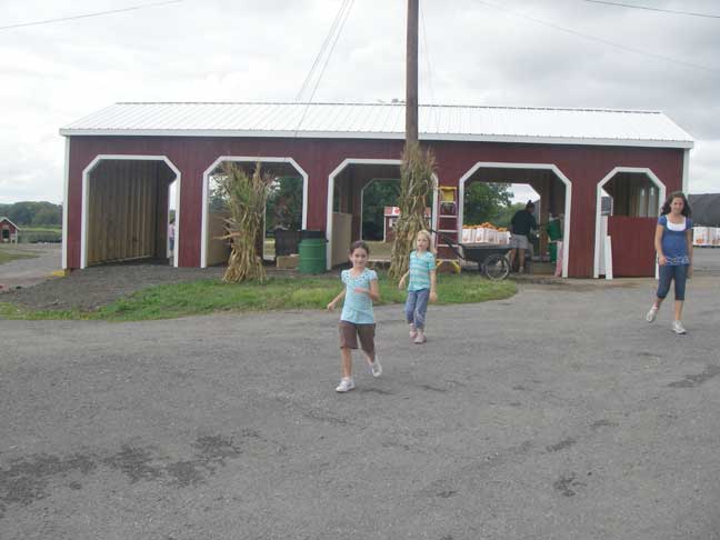 new shed