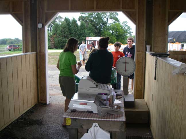 inside new shed