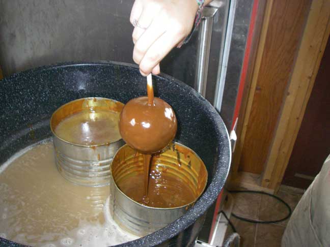 caramel apples