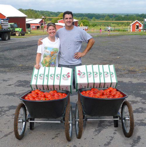 Tomato pickers