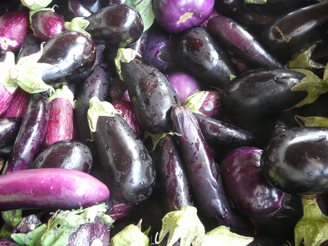 eggplant