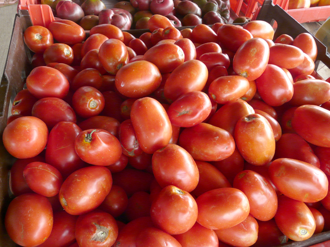 plum tomatoes