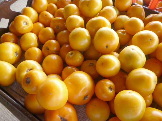 yellow tomatoes