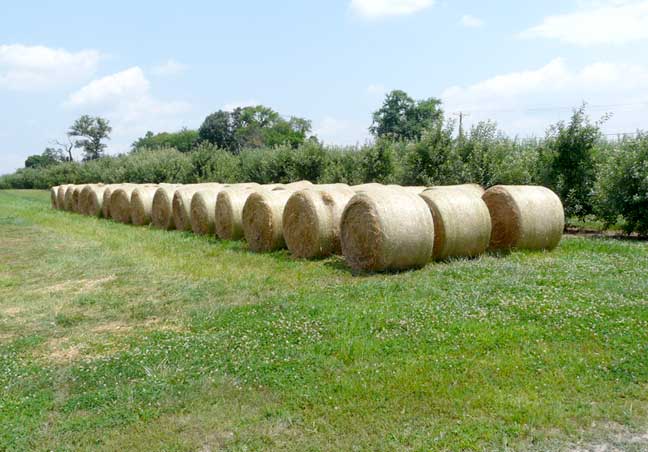 hay bales