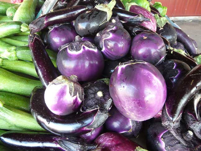 round eggplant