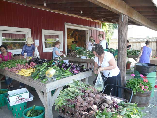 busy farm stand