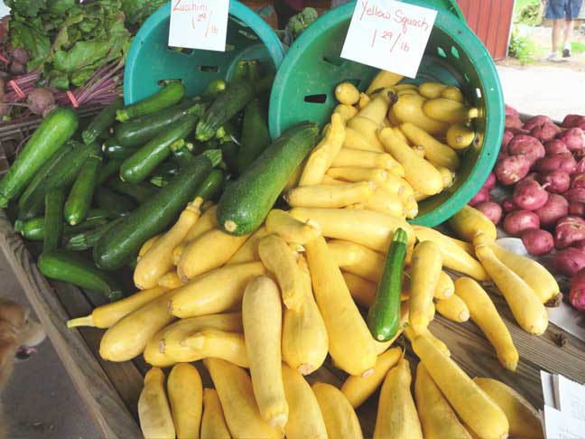 summer squash
