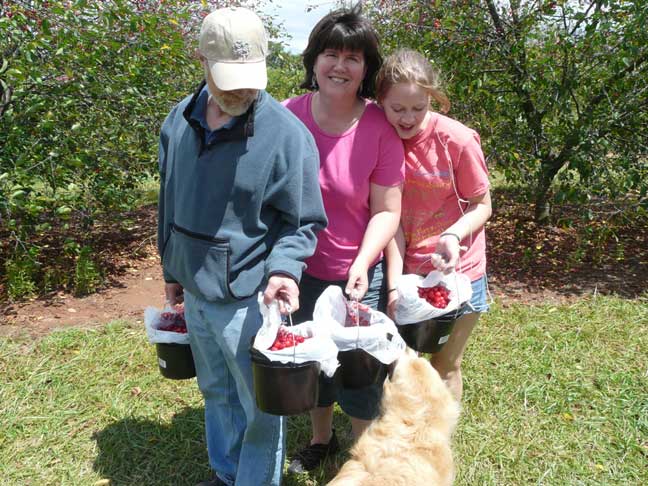 cherry pickers