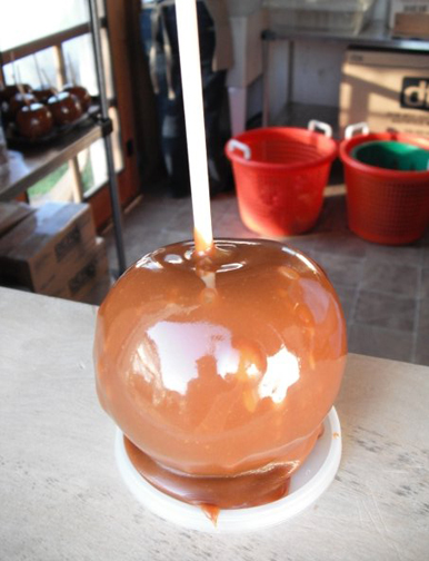 caramel apples