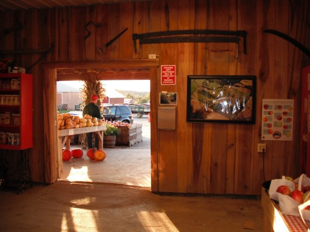inside farm stand