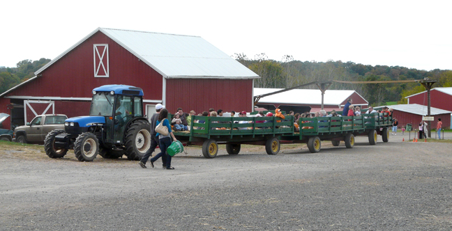 here comes the hayride