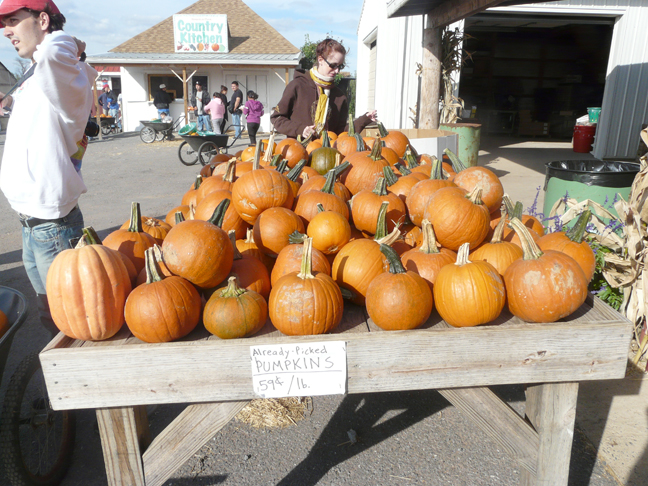 pumpkins